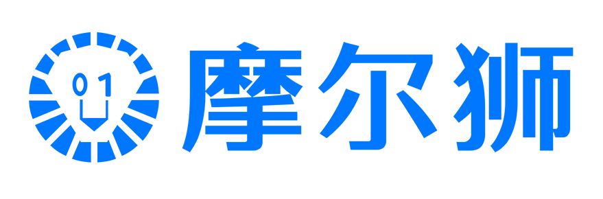 摩尔狮教育